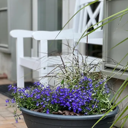 Apartmán Sea Spray Sermiescio 34a